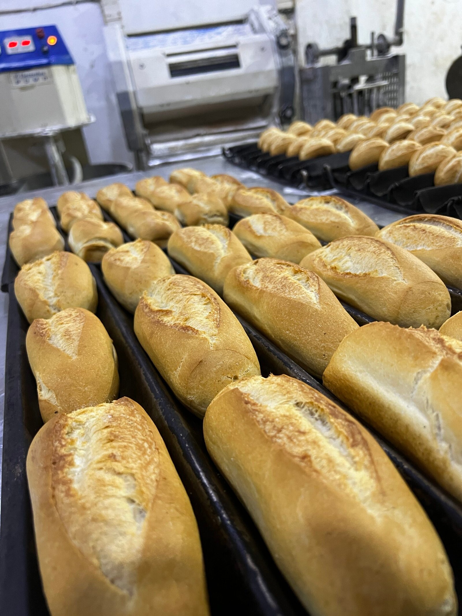 🥖 Boulangerie & Pâtisserie
